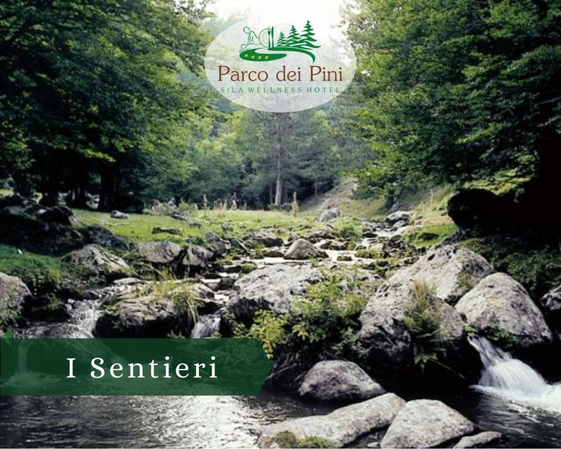 Parco Dei Pini - Sila Wellness Hotel Taverna  Exteriör bild