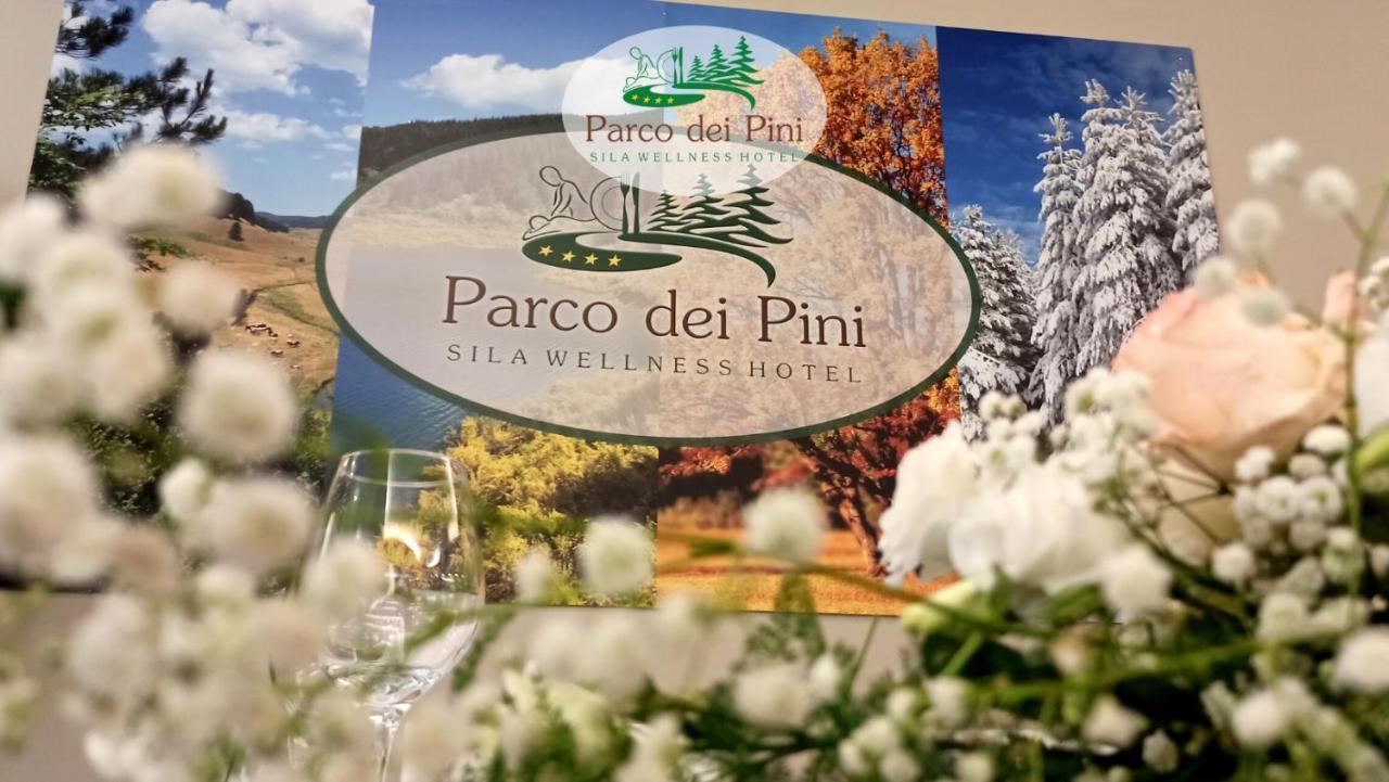 Parco Dei Pini - Sila Wellness Hotel Taverna  Exteriör bild